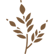 Grain-Finished